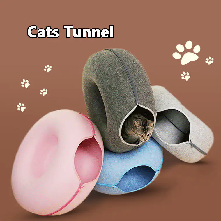 3 in 1 Interactive Cat Bed