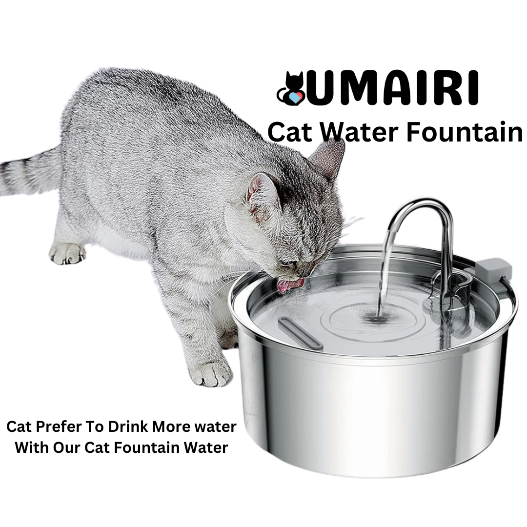 Cat Water Fountain