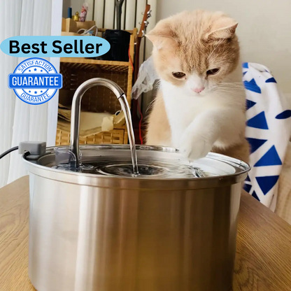 Cat Water Fountain