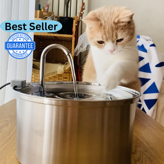 Cat Water Fountain