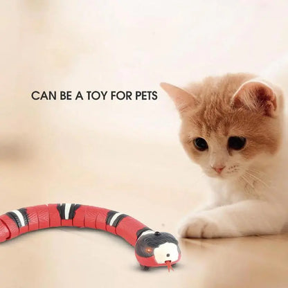 Auto Snake Toy for Pets