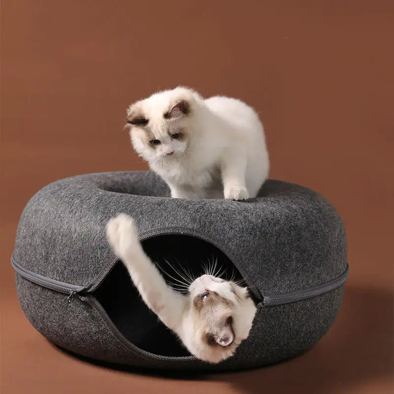 3 in 1 Interactive Cat Bed