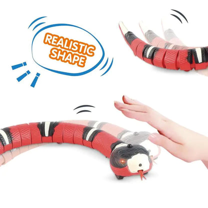 Auto Snake Toy for Pets