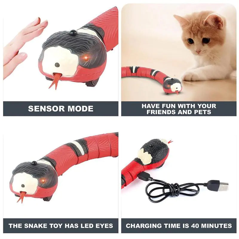 Auto Snake Toy for Pets