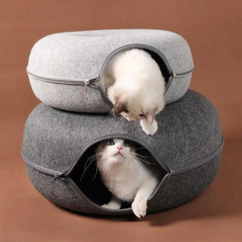 3 in 1 Interactive Cat Bed